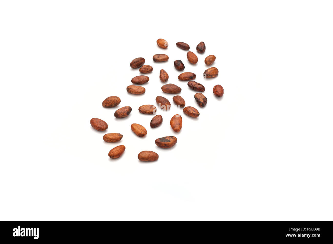 Cocoa beans (Theobroma cacao) photographed in the studio on a white background. Stock Photo
