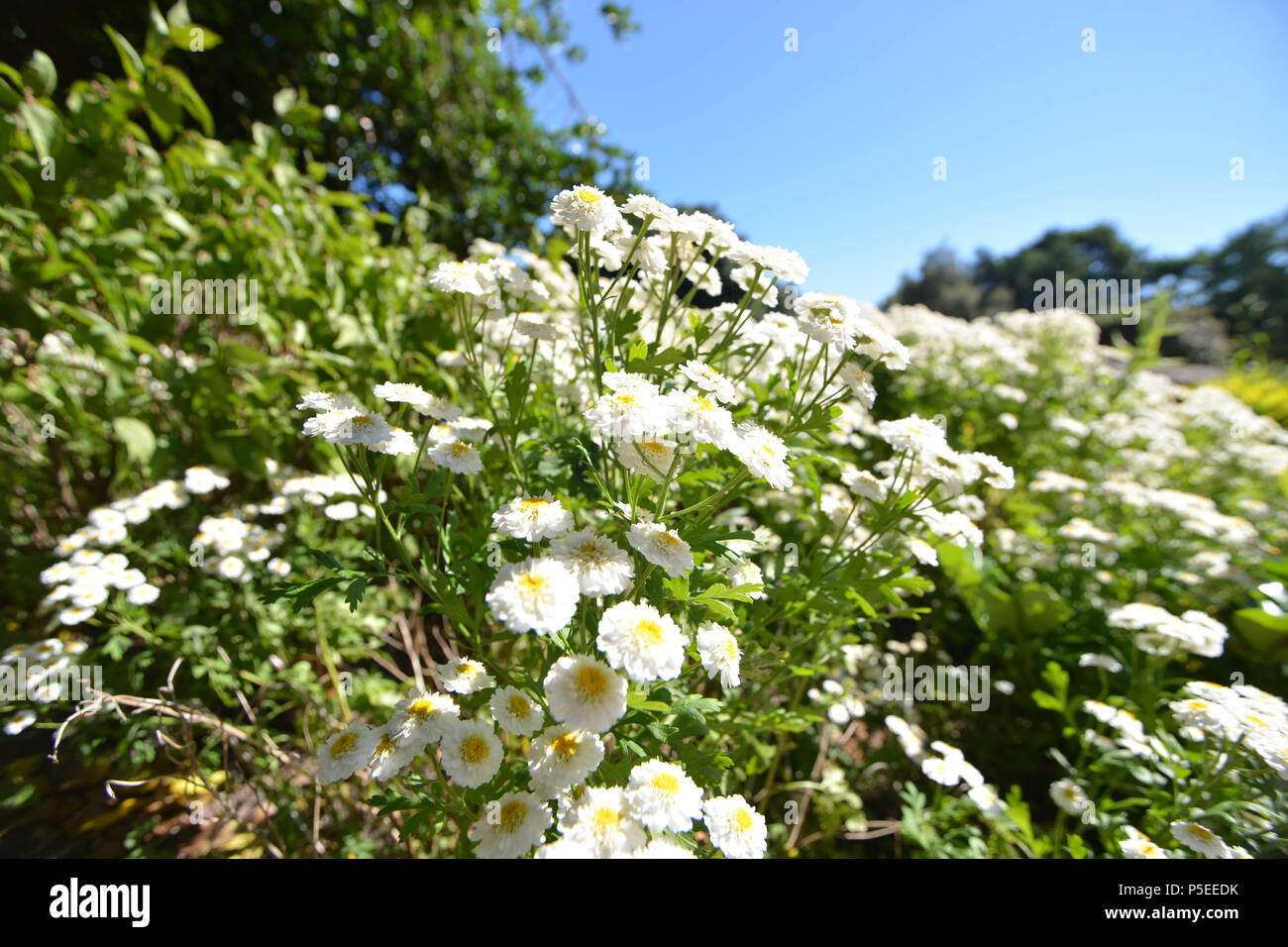 Maghull church hi-res stock photography and images - Alamy