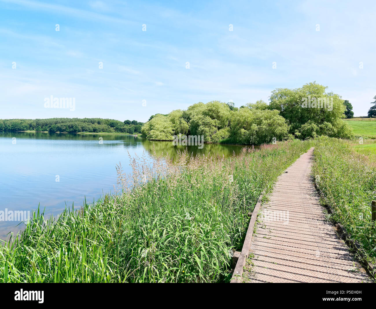 A raised wooden walkway runs at the side of Staunton Harold reservoir, towards the distant fields. Stock Photo