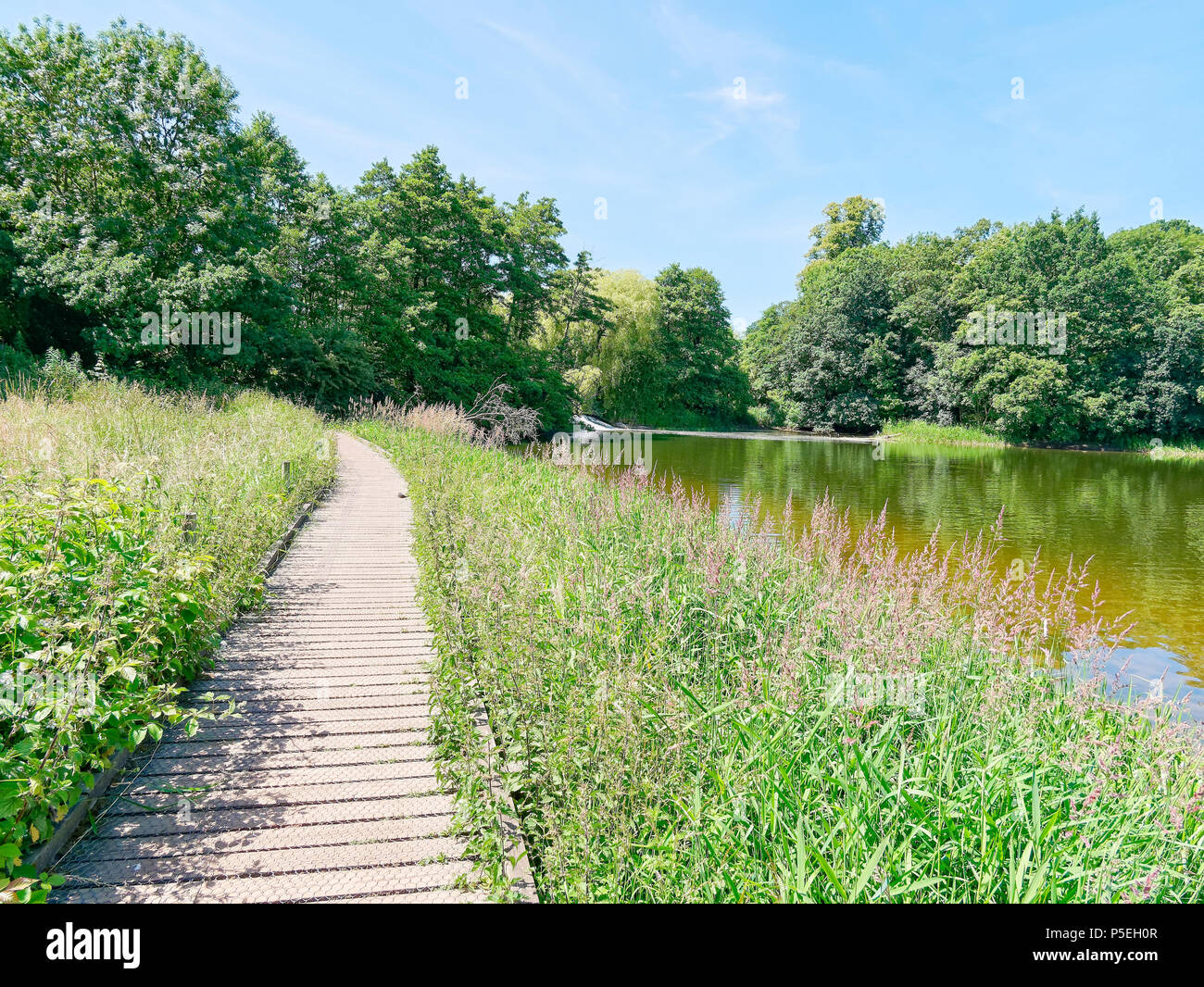 A raised wooden walkway runs at the side of Staunton Harold reservoir, towards a small weir and woodland. Stock Photo