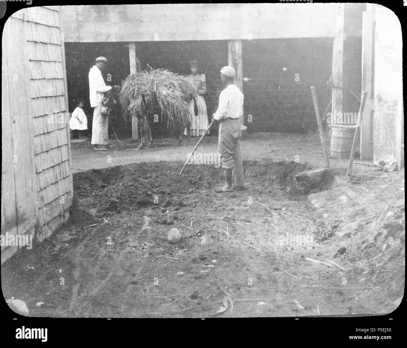 Cleansing Hotel yard. Georgetown.. A man shovelling volcanic ash which has accumulated to a depth of 40-50cm in a hotel yard. Another man, woman and child can also be seen.. 1902. N/A 352 Cleansing Hotel yard, Georgetown YORYM-TA0101 Stock Photo