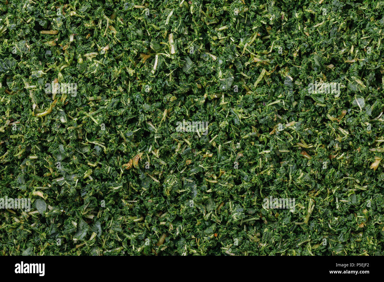 Texture of fermented leaves of Ivan-tea close-up, top view Stock Photo
