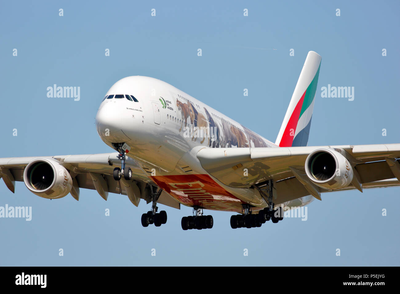 A6-EEQ Emirates Airways Airbus A380-800 on approach to London Heathrow 27L runway after a long haul flight Stock Photo