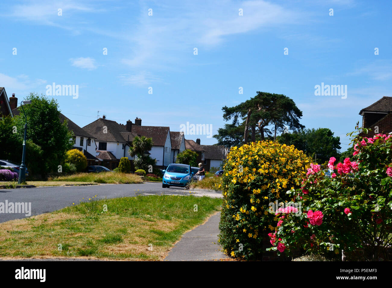 View of a residential street. The Avenue, Hailsham, East Sussex