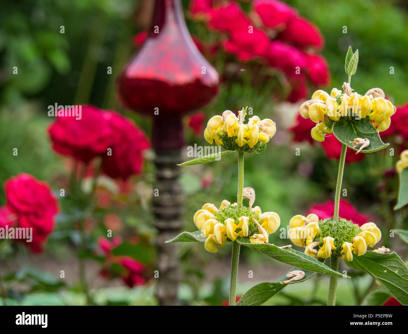 beautiful garden in germany Stock Photo Alamy
