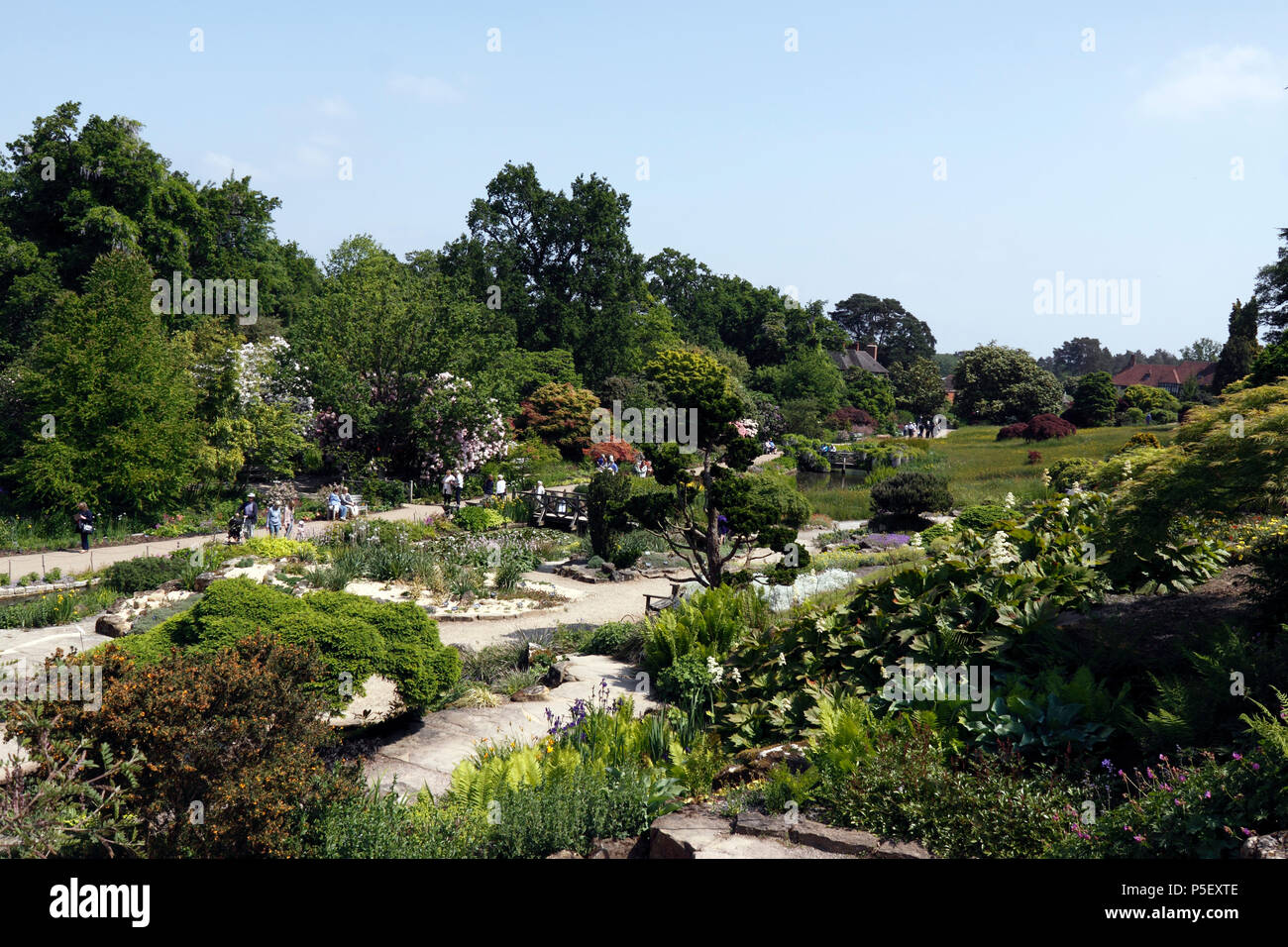 RHS WISLEY FROM THE ROCK GARDEN. EARLY SUMMER. Stock Photo