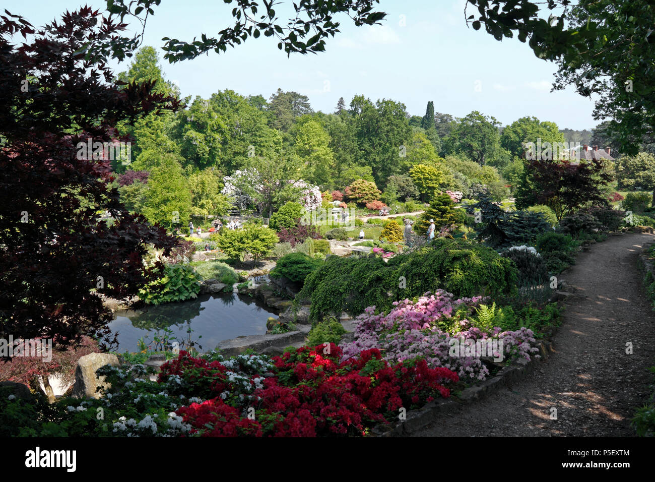 RHS WISLEY FROM THE ROCK GARDEN. EARLY SUMMER. Stock Photo