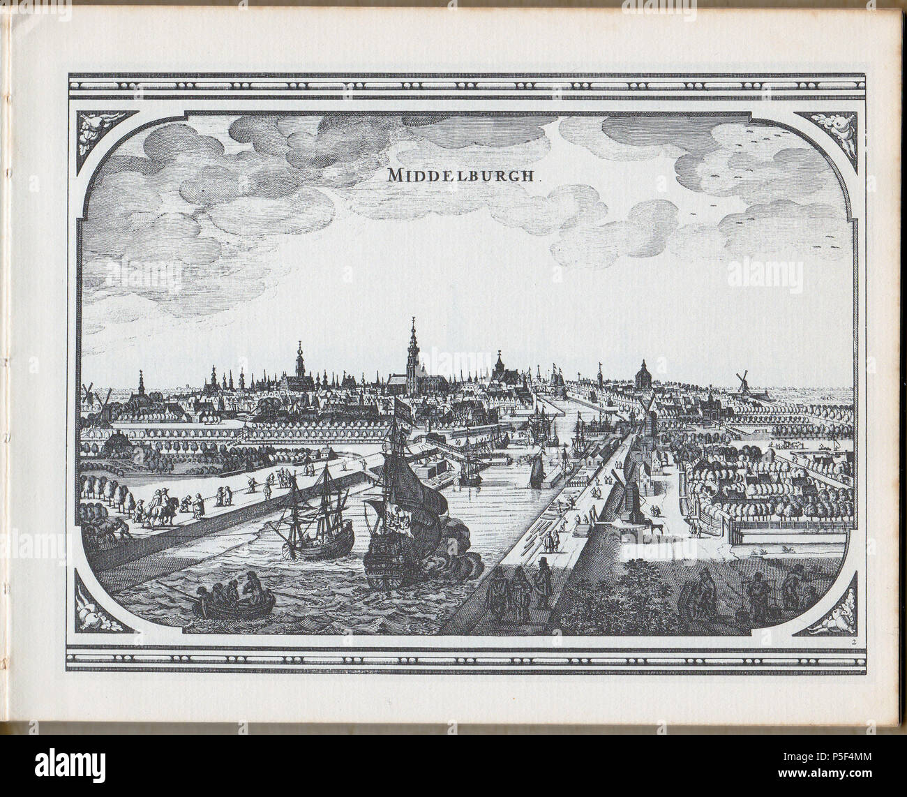 Speculum zelandiae hires stock photography and images Alamy