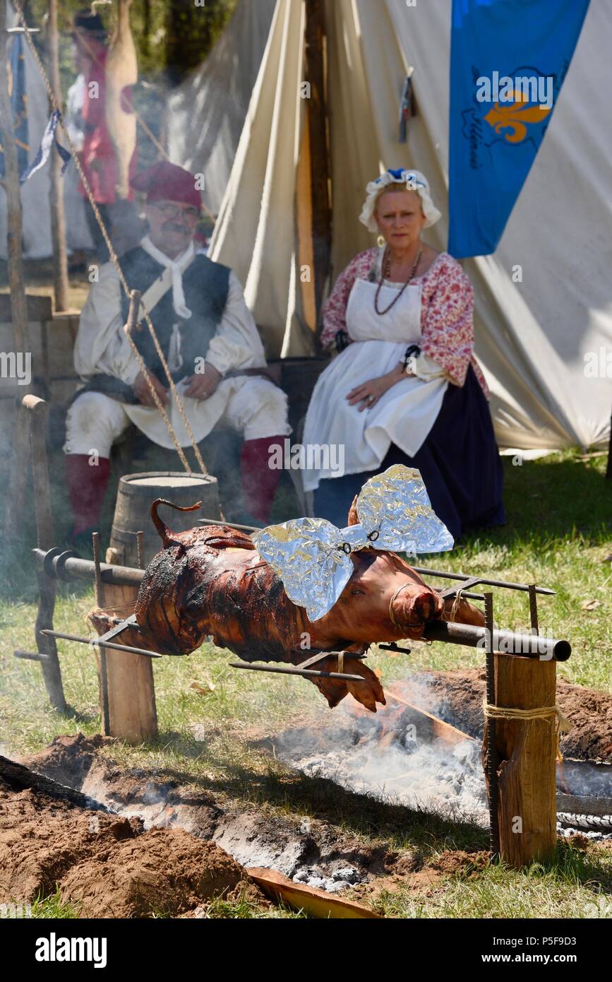 Costumed re-enactors ouside tent, slow roast a whole pig outdoors over a campfire at Bloody Lake Rendezvous, Woodford, WI, USA Stock Photo