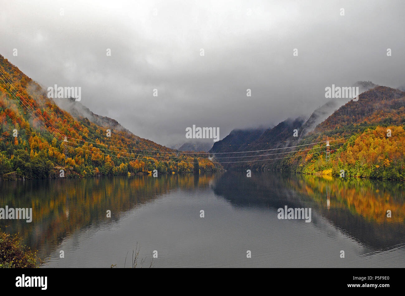 Sudamerica, Chile, Araucania, Alto Biobio Stock Photo - Alamy