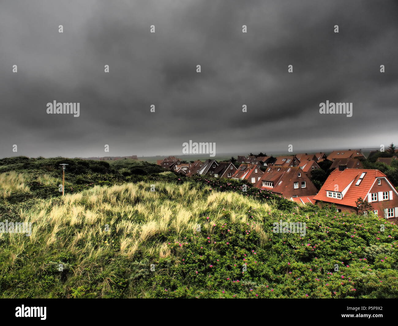 the german Island juist Stock Photo - Alamy