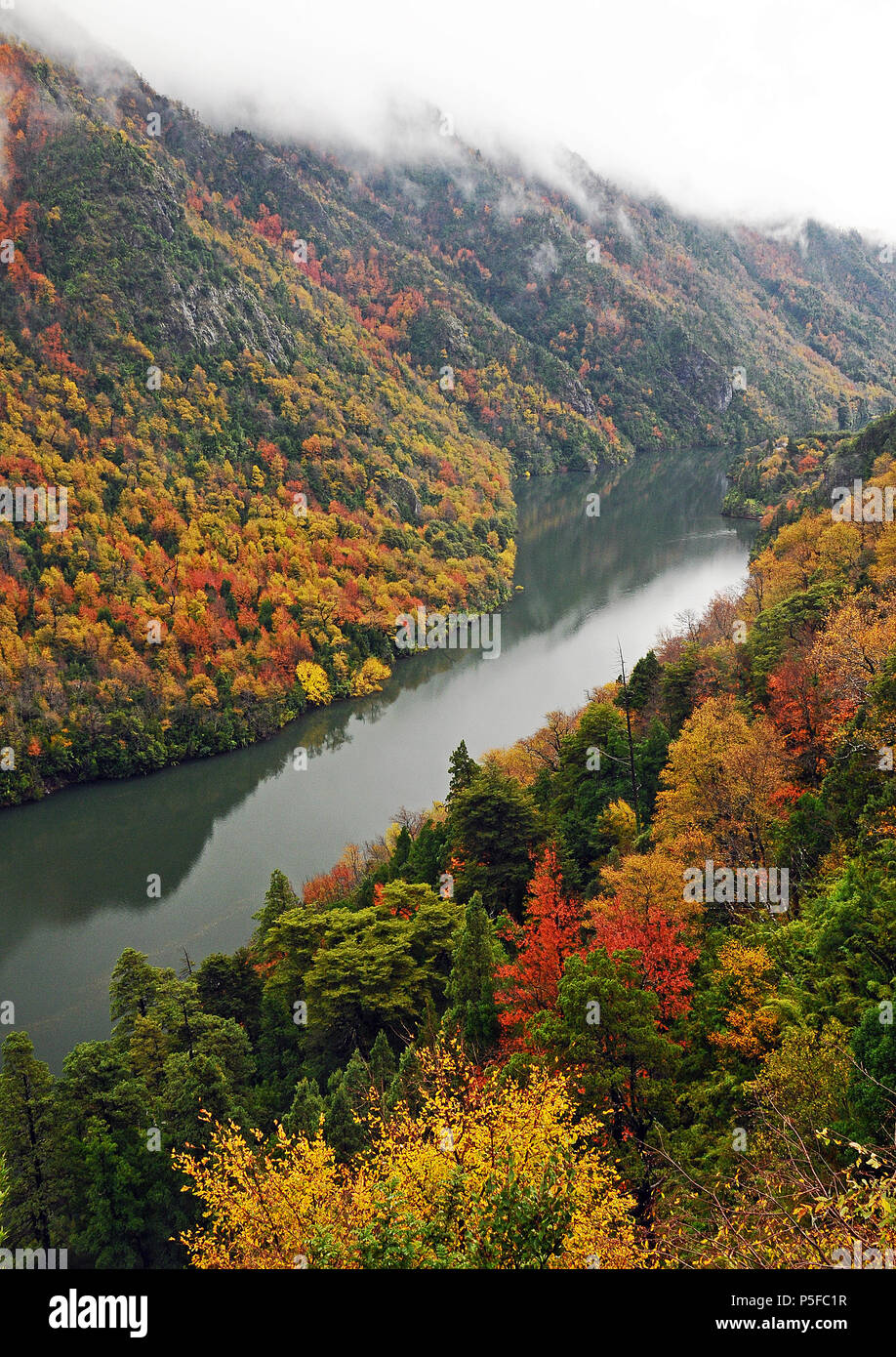 Alto biobio hi-res stock photography and images - Alamy