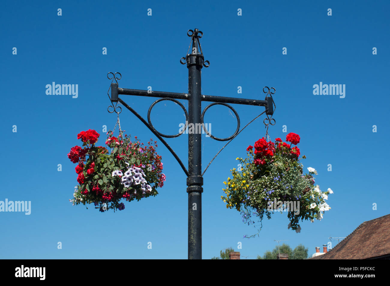 Hanging baskets up high hi-res stock photography and images - Alamy