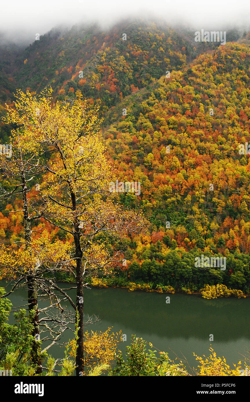 Rio biobio hi-res stock photography and images - Alamy