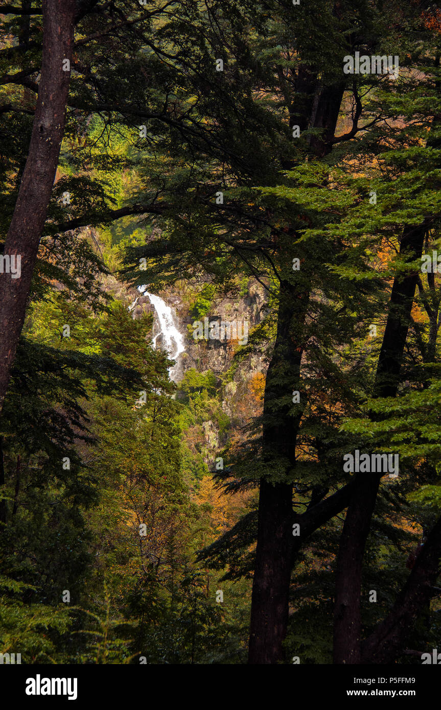 Sudamerica, Chile, Araucania, Alto Biobio Stock Photo