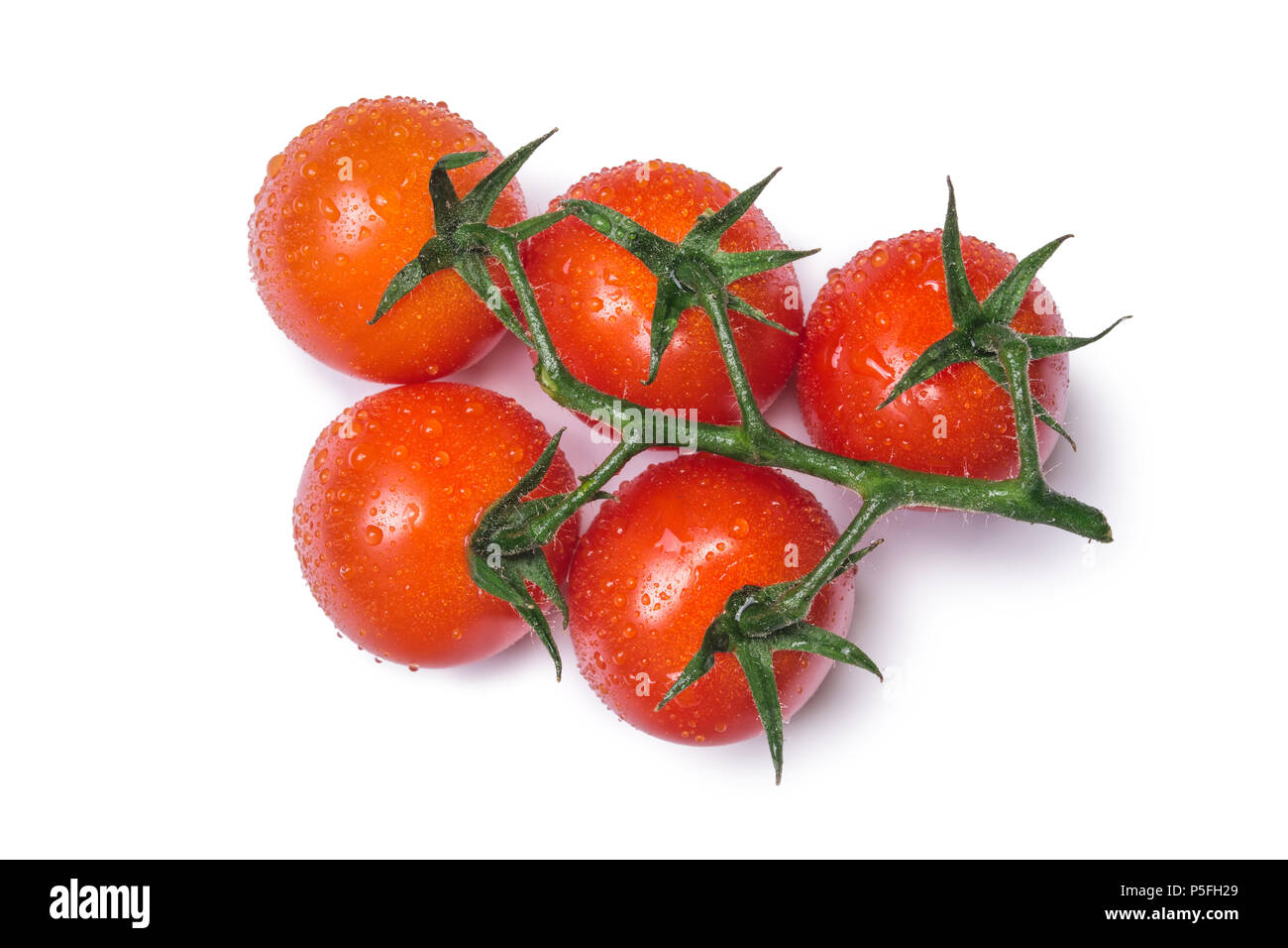 Cherry tomato branch isolated on white background Stock Photo - Alamy