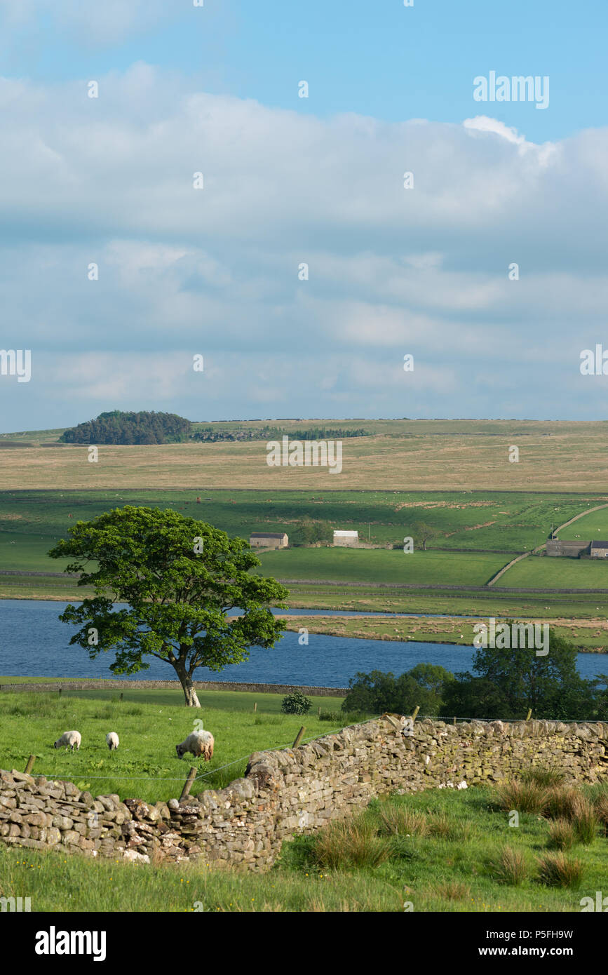 Hury Reservoir, Baldersdale, County Durham, UK Stock Photo
