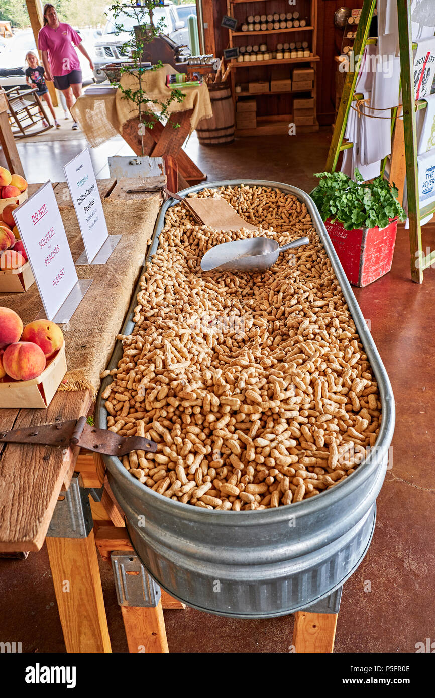 Large tub full of unshelled raw peanuts for sale in a country roadside market in Pike Road Alabama, USA. Stock Photo