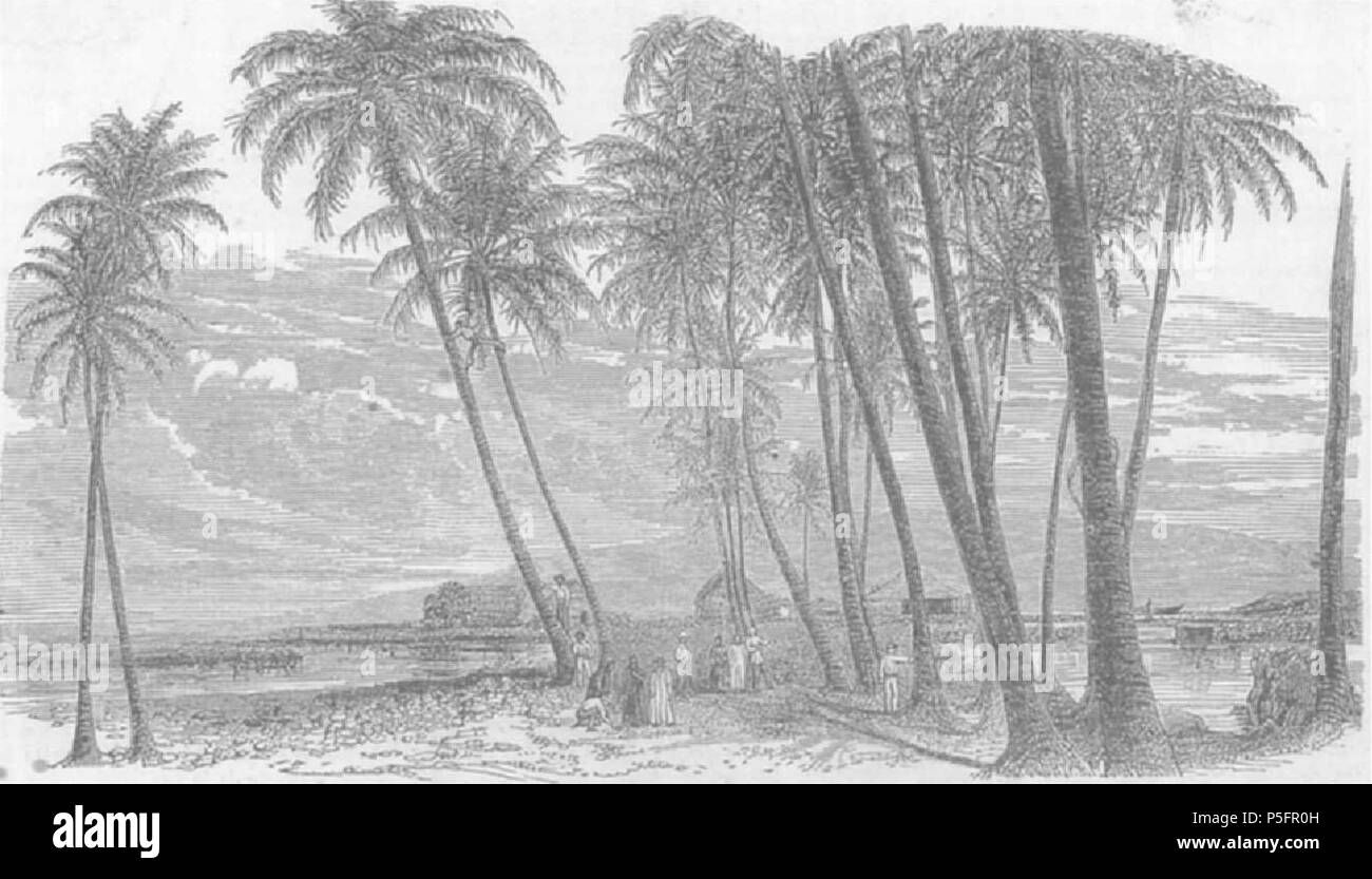 N/A. English: Cocoanut Grove in Lahaina, wood engraving from a daguerreotype by B. Jay Antrim in Wide West, August 17, 1856. Bishop Museum, Honolulu. 17 August 1856. Wide West;   Benajah Jay Antrim  (1819–1903)    Alternative names B. Jay Antrim  Description American photographer mathematical instrument maker, artist, daguerreotypist, ambrotypist, photographer  Date of birth/death 1819 1903  Location of birth/death Burlington Philadelphia  Work location Mexico, California, Hawaii, Nevada and Philadelphia  Authority control  : Q26208495 VIAF:11561446 359 Cocoanut Grove in Lahaina, wood engravin Stock Photo