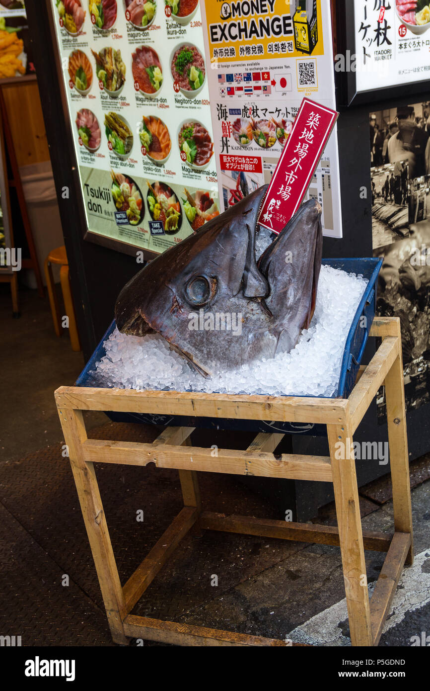 Gigantic tuna fish head in front of a fish restaurant at Tsukiji fish