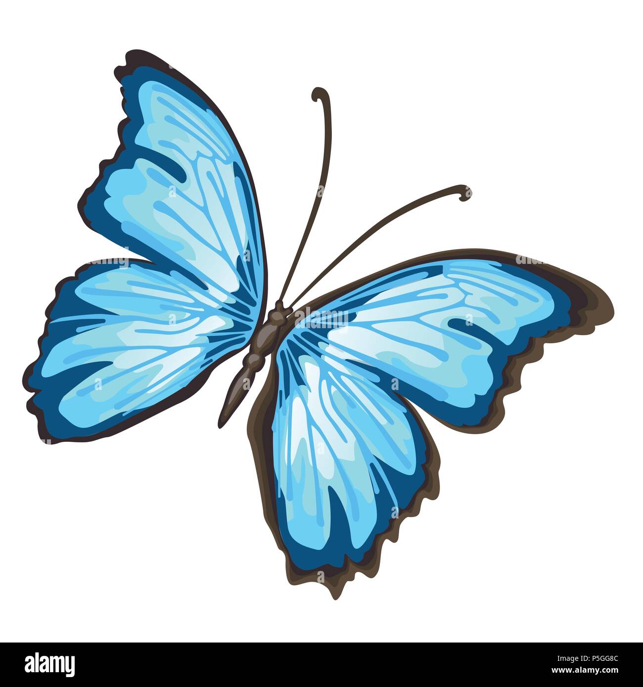 Cartoon butterfly with blue wings isolated on white background ...