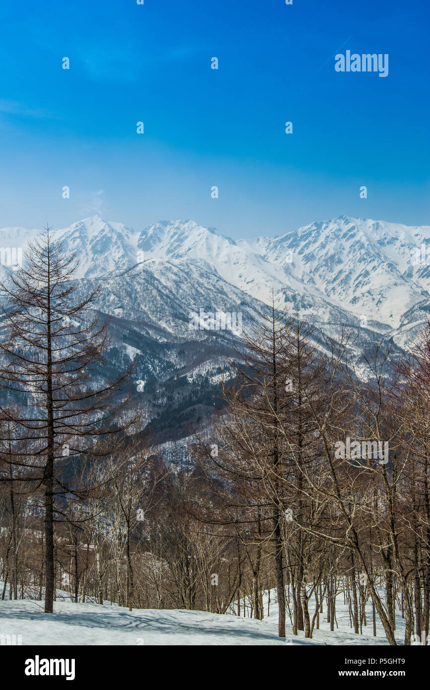 Hakuba ridge in spring. It is famous of the venue for The Nagano Winter Olympics. This area is very popular as ski resort for foreigners. Stock Photo