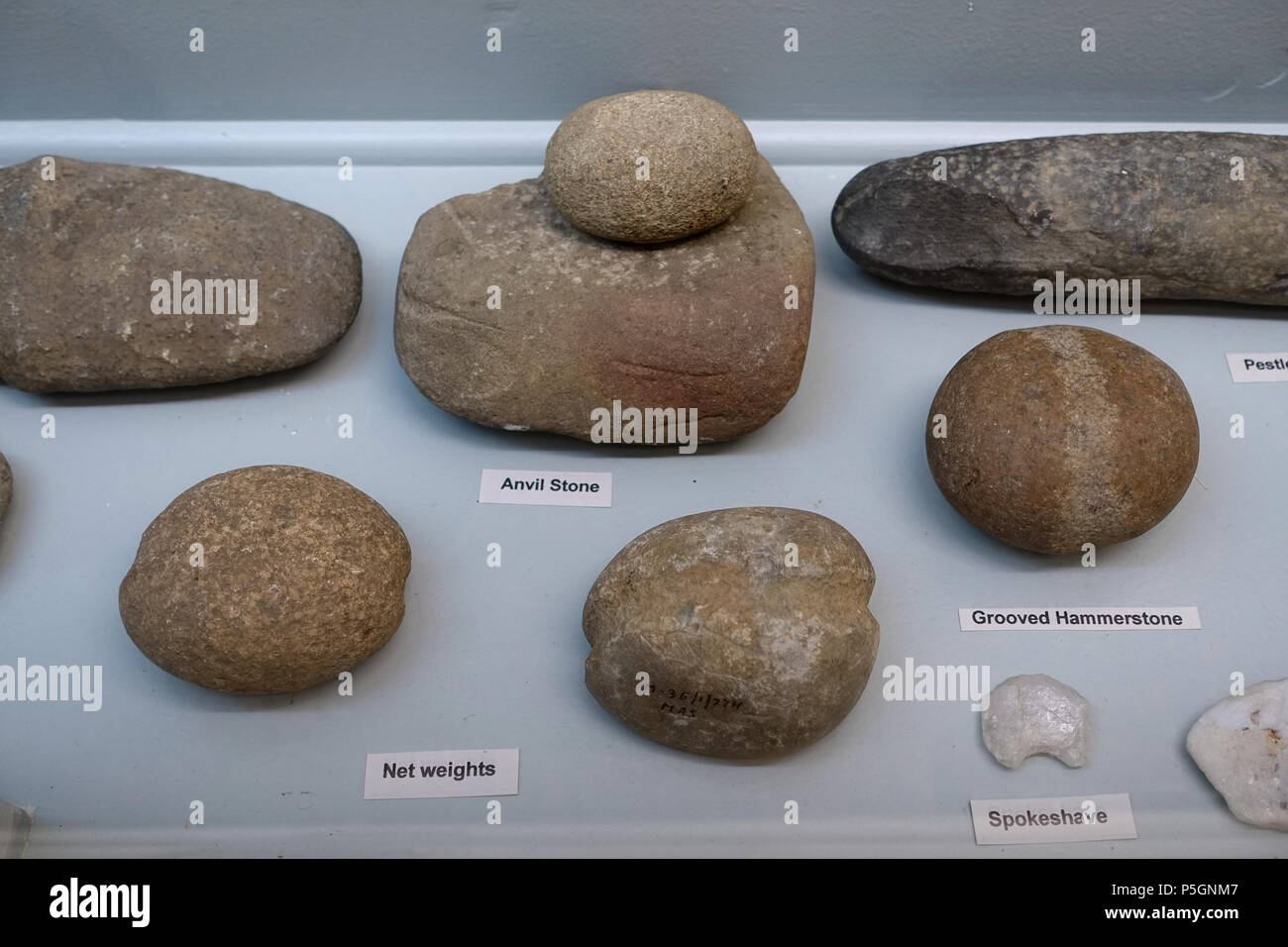 Hammerstone hires stock photography and images Alamy