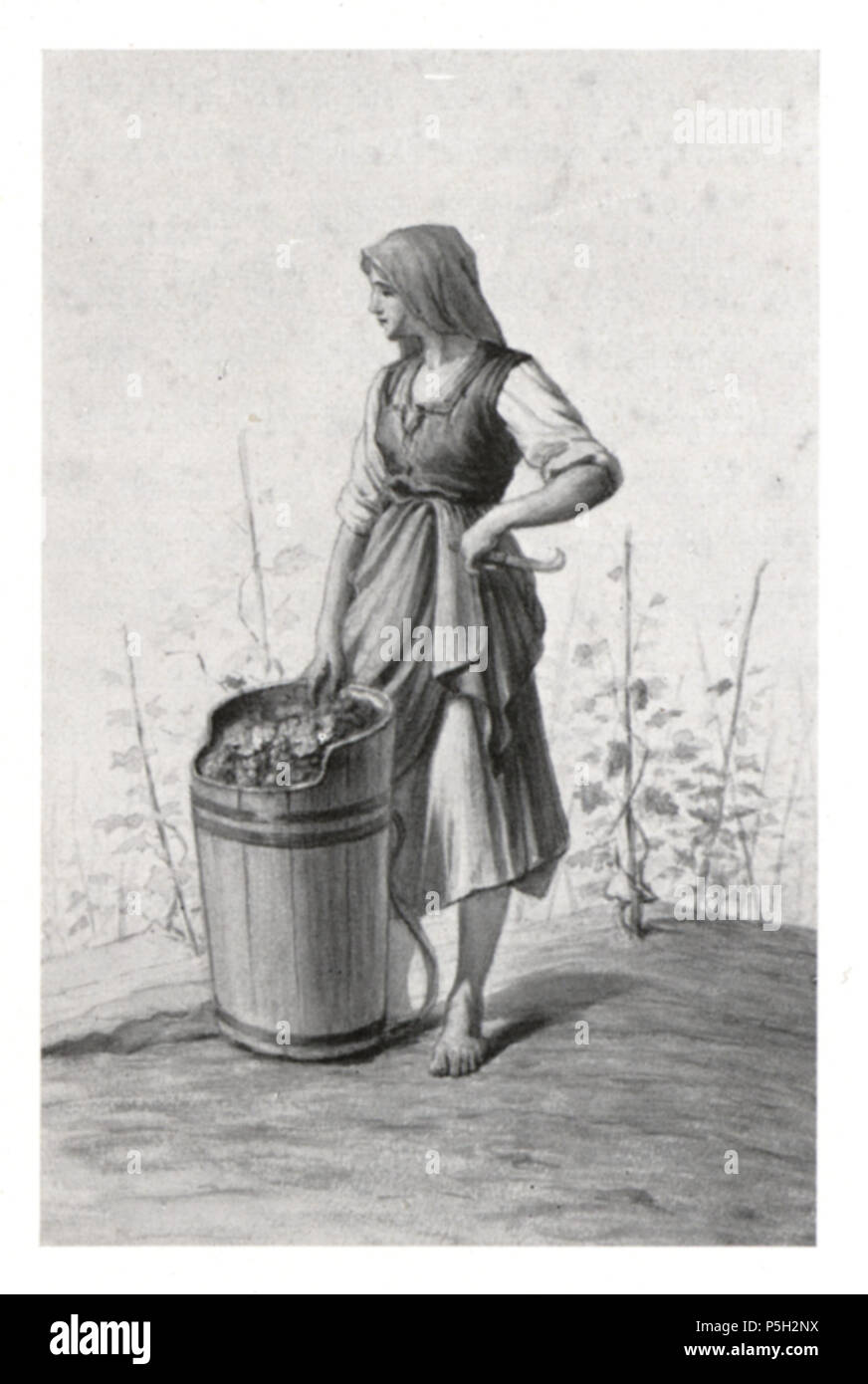 15 127 Winzerin aus der Luttenberger Gegend, Aquarell von J. Lepuschütz, 1892 Stock Photo