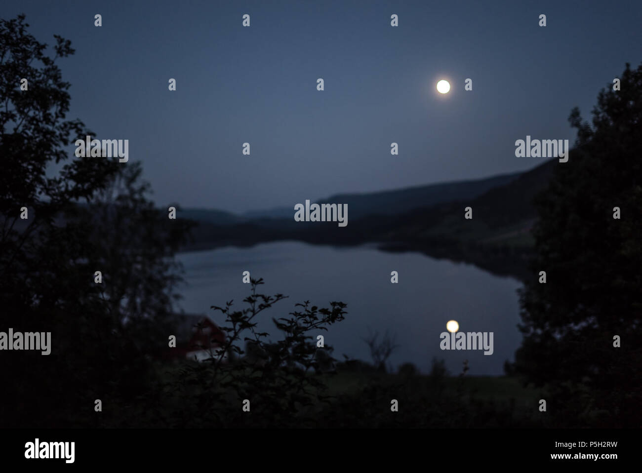 A dark, mystical moonlit pond in a quiet, romantic seascape at night. Stock Photo