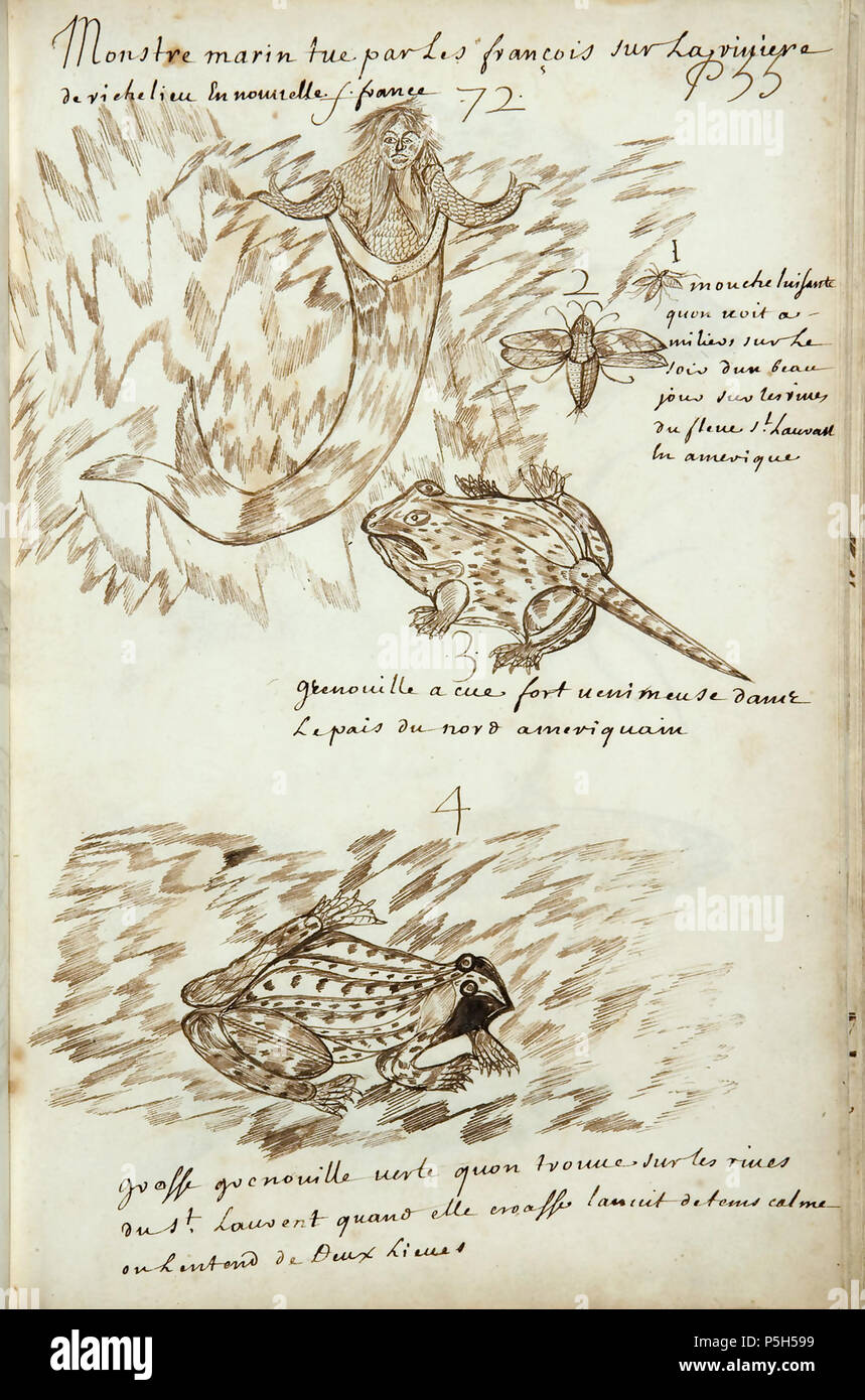 N/A. Français : Codex canadensis, p. 55 Monstre marin tue par les françois  sur La riviere / de richelieu En nouvelle france 1—2 mouche luisante / quon  voit a / miliers sur