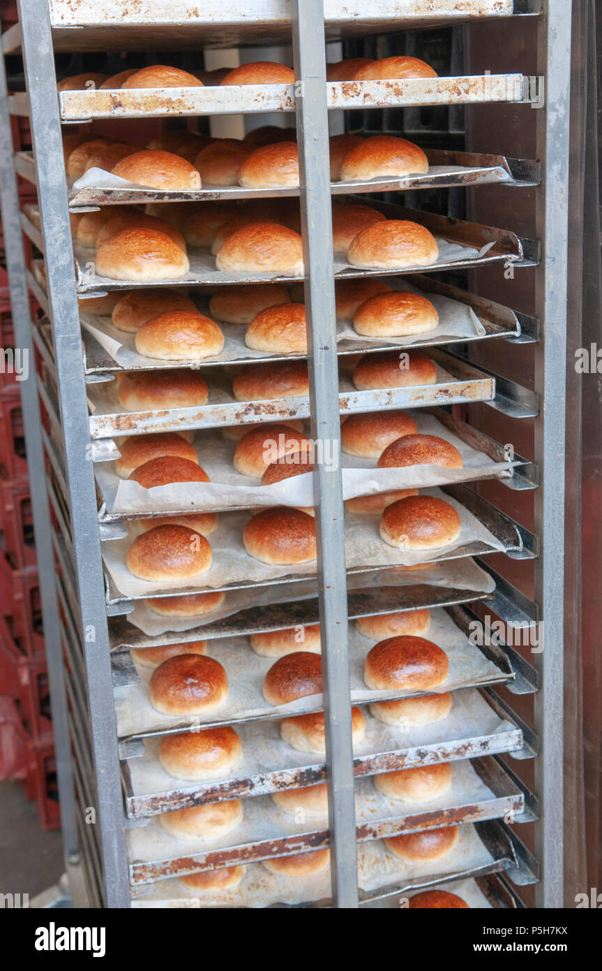 Freshly baked bread rolls on a baker's shelf trolley at a bakery. Stock Photo