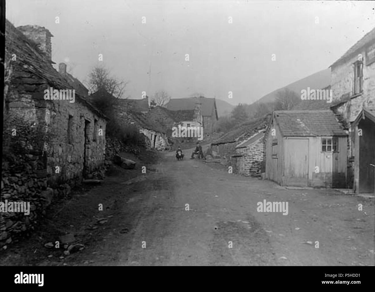 [A rural village] [graphic].. 1 negative : glass, dry plate, b&w ; 12 x 16.5 cm. circa 1885. Thomas, John, 46 A rural village NLW3364023 Stock Photo