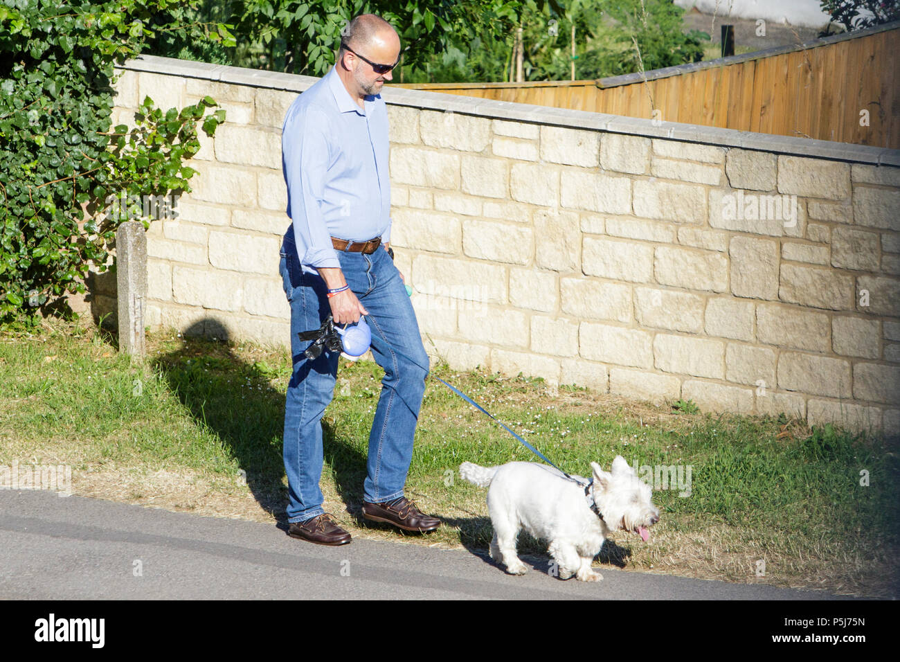 Chippenham, UK, 27th June, 2018.  As the UK continues to enjoy the very warm weather, dog walkers are pictured as they take their pets for an early morning walk. Health warnings have been issued as temperatures were forecast to reach a possible high of 33C on Wednesday. Credit: lynchpics/Alamy Live News Stock Photo