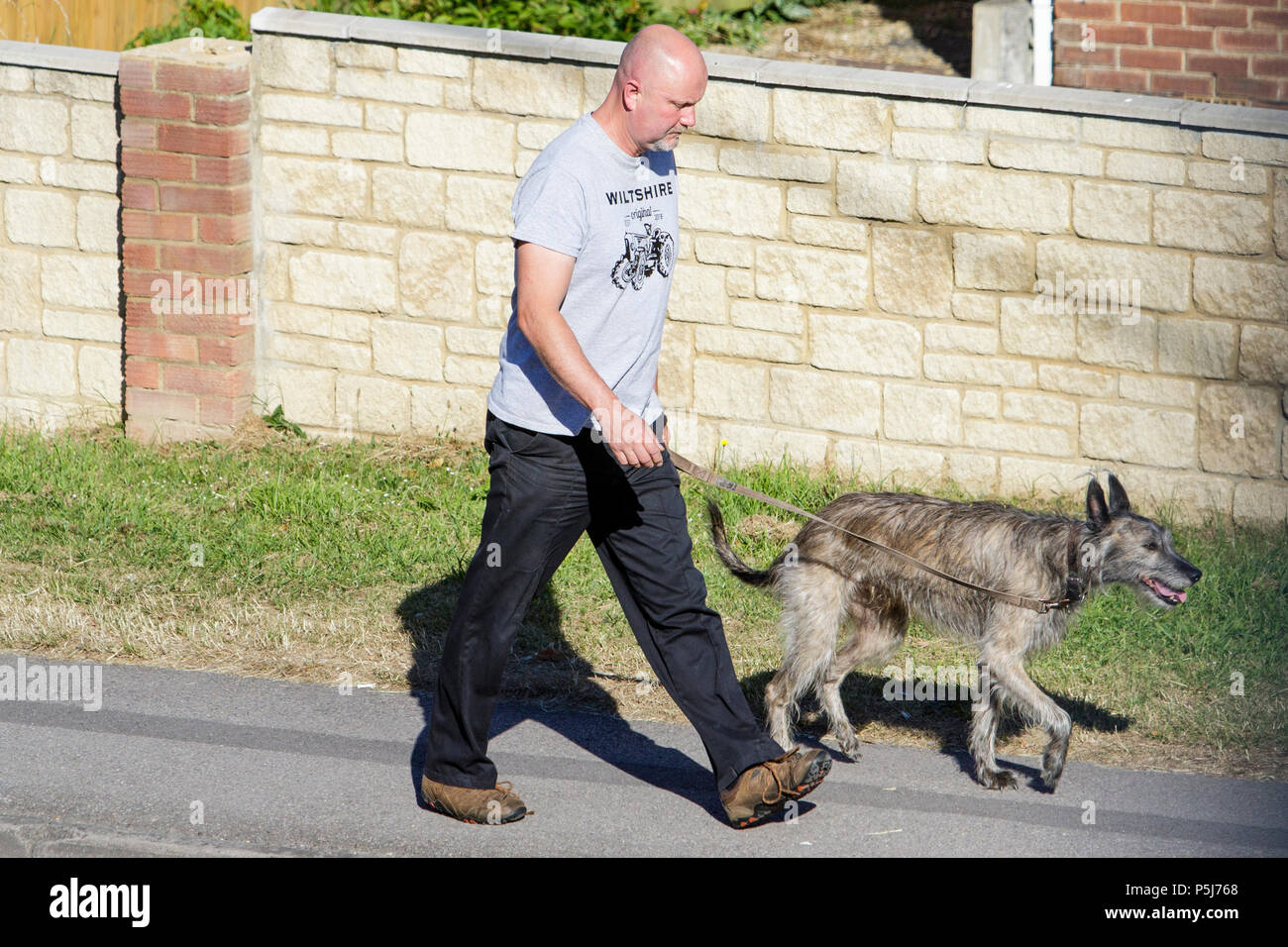 Chippenham, UK, 27th June, 2018.  As the UK continues to enjoy the very warm weather, dog walkers are pictured as they take their pets for an early morning walk. Health warnings have been issued as temperatures were forecast to reach a possible high of 33C on Wednesday. Credit: lynchpics/Alamy Live News Stock Photo