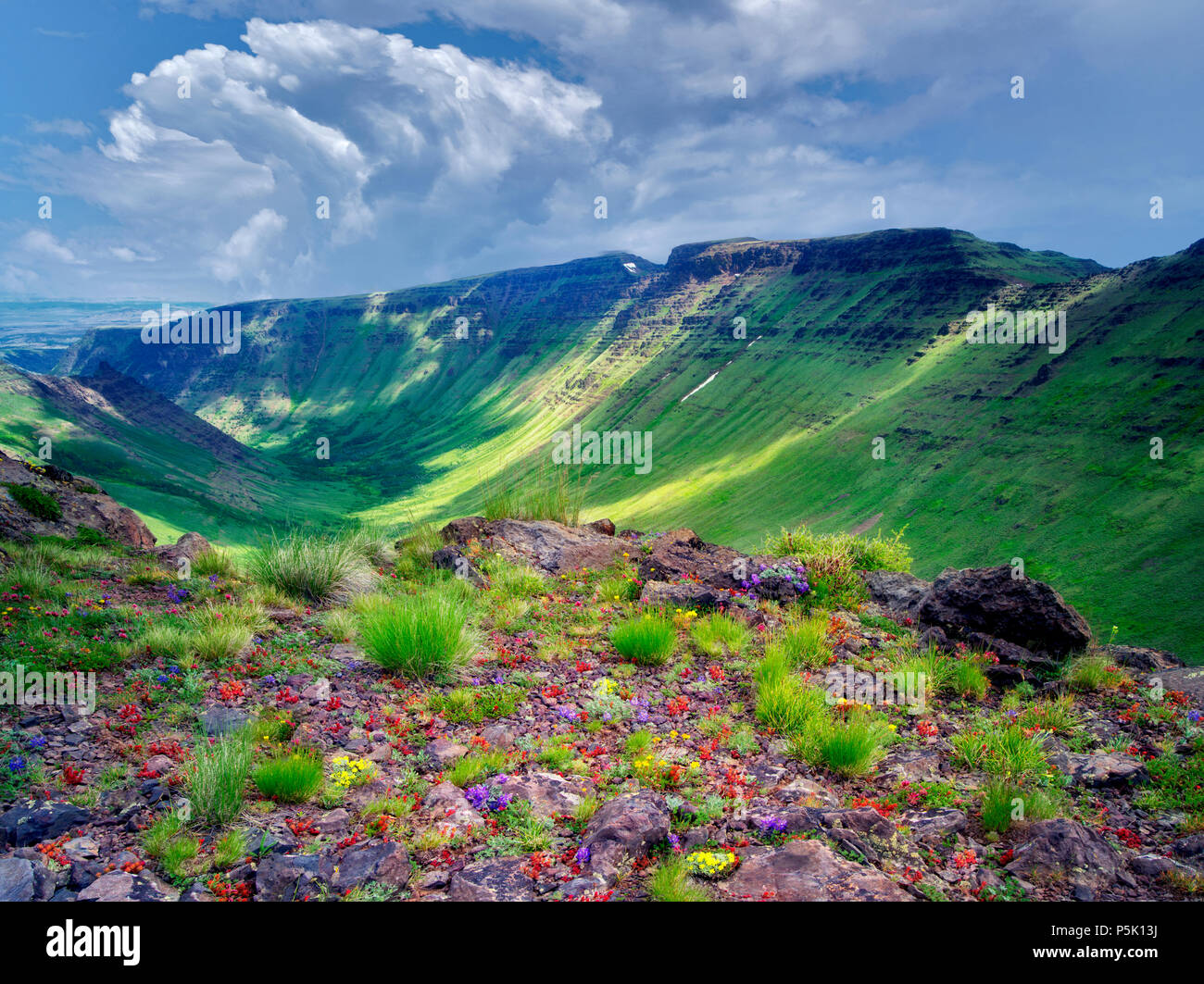 Mixed wildflowers and Keiger Gorge with clouds. Steens Mountain Wilderness, Oregon Stock Photo