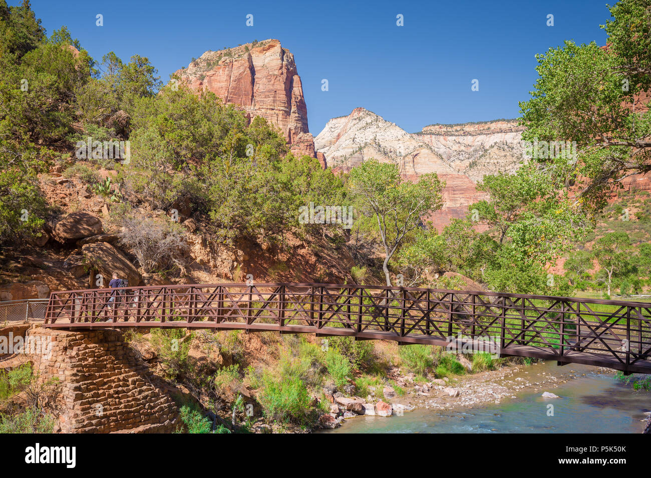 Panoramic view of beautiful scenery in  scenic Zion Canyon on a beautiful sunny day with blue sky in summer, Zion National Park, Springdale, southwest Stock Photo