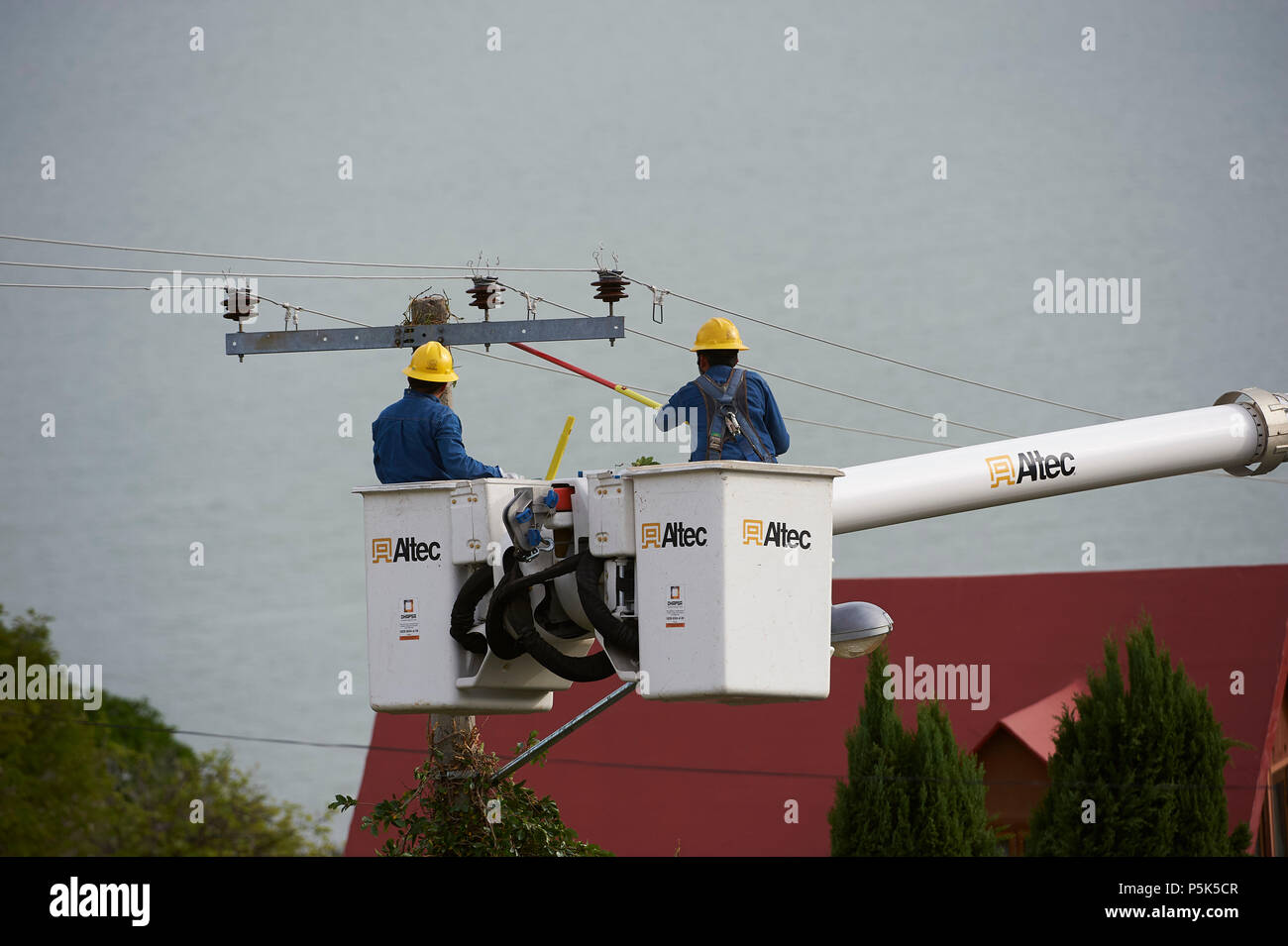 Electricity workers clear vines growing up power poles and causing short circuits and power outages -  San Juan Cosala, Jalisco, Mexico Stock Photo