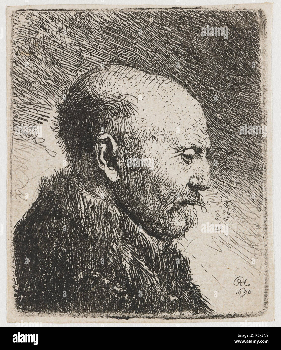 Bald-headed Old Man: Profile Facing right; the Artist’s Father ()  1630. N/A 159 B292s3 Rembrandt Stock Photo