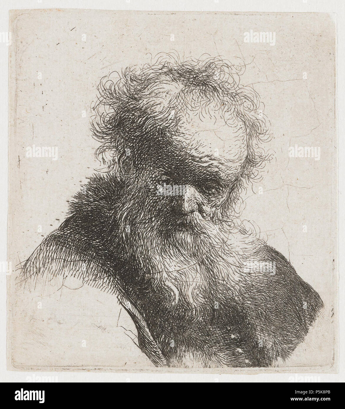 Bust of an Old Man with Flowing Beard and White Sleeve: Bust circa 1631 ...