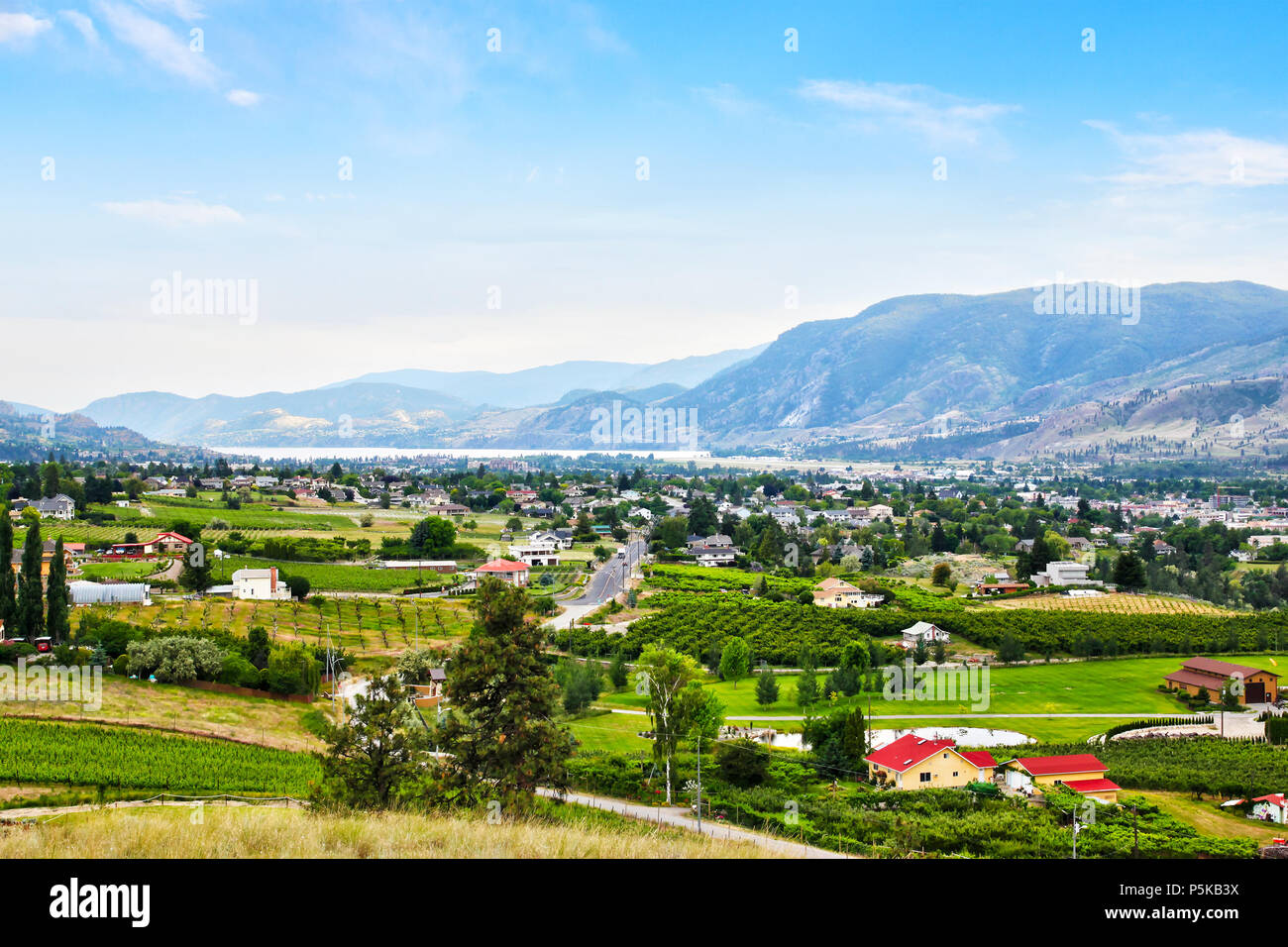 Aerial view of numerous Kelowna vineyards surrounding Lake Okanagan with mountains in the background. Kelowna is renowned for its wineries and winemak Stock Photo