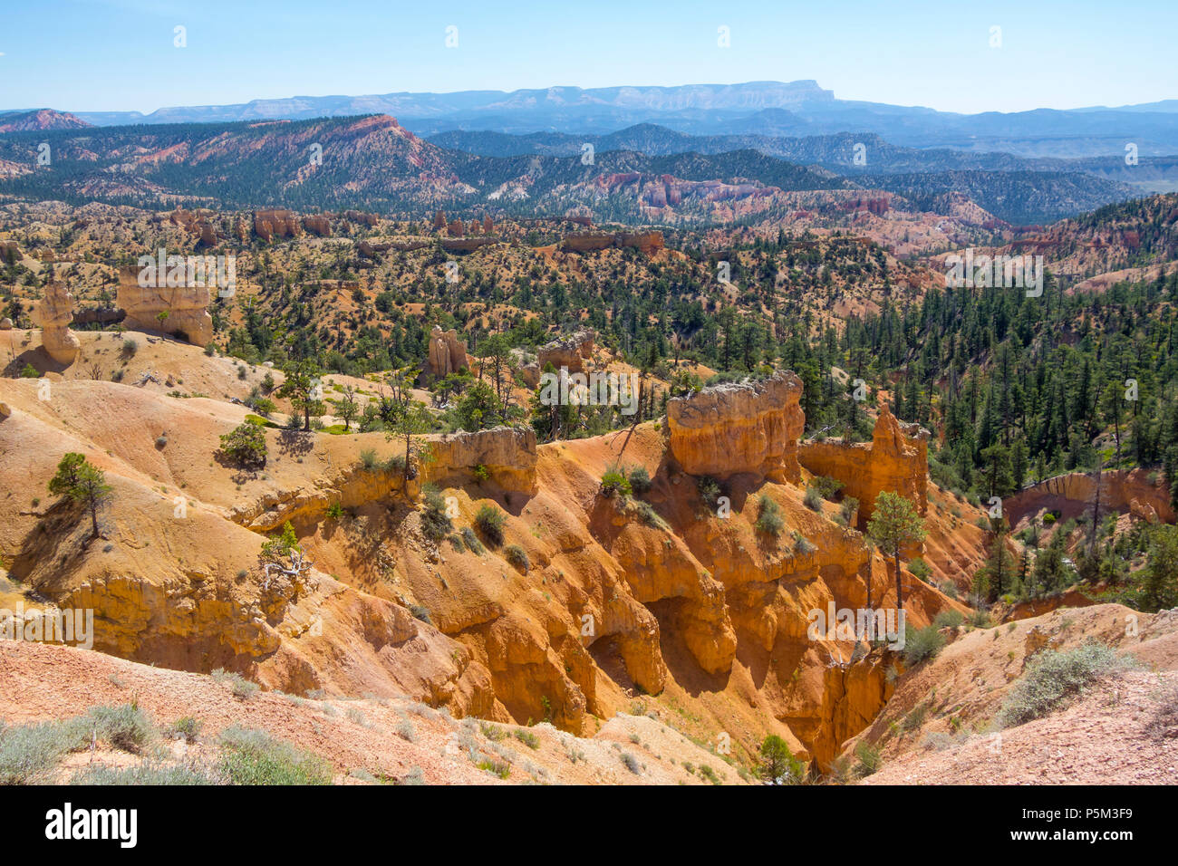 Amphitheatre at Bryce Canyon National Park showing colours of the sedimentary rocks formed by many years of erosion. Stock Photo