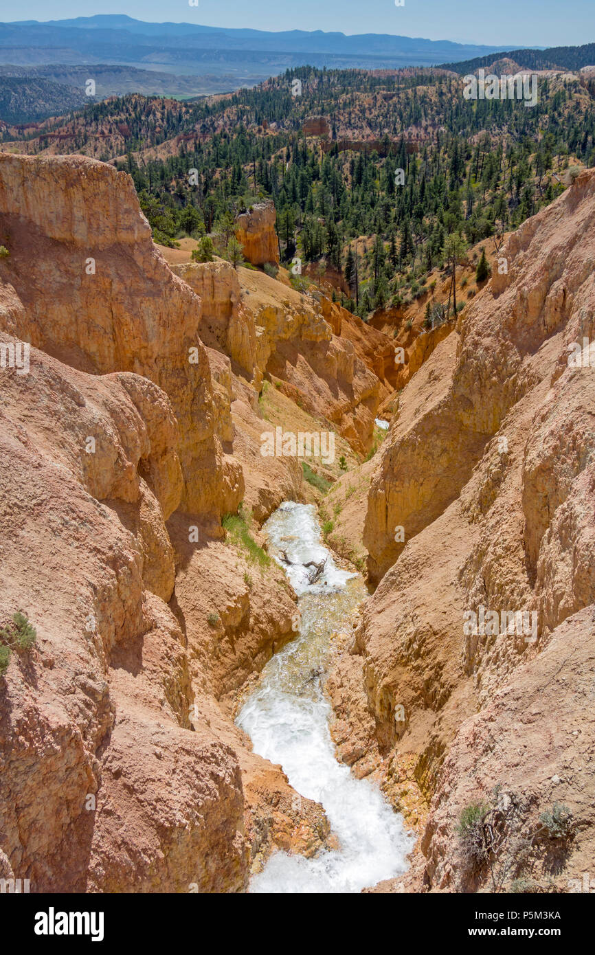 10 mile irrigation channel in Bryce Canyon, built by the Mormons from 1890 to 1892. It diverted water from the East Fork of the Sevier River. Stock Photo