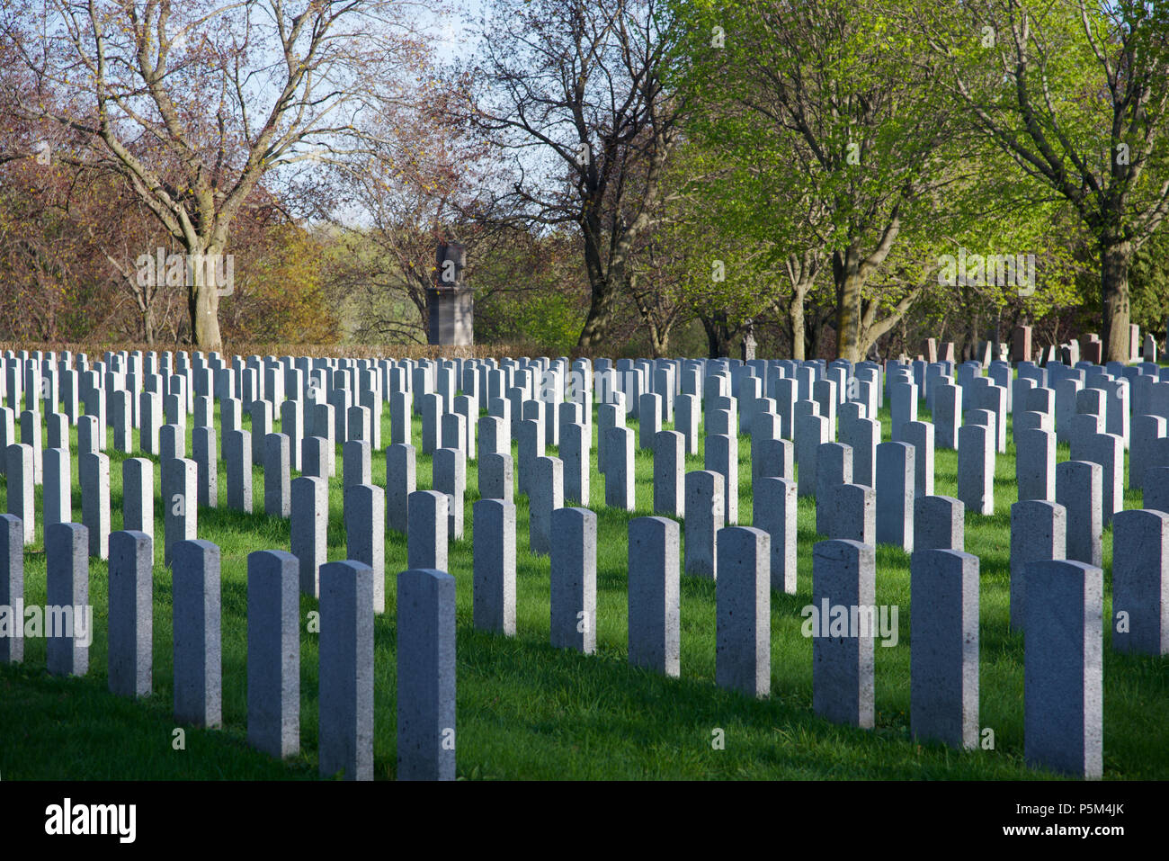 Military tombstones in Mount Royal cemetery Montreal Quebec Canada