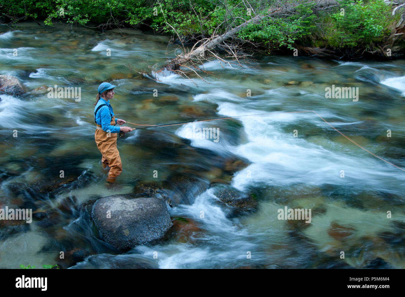 Fly Fishing, Eagle Creek Wild And Scenic River, Wallowa-Whitman ...