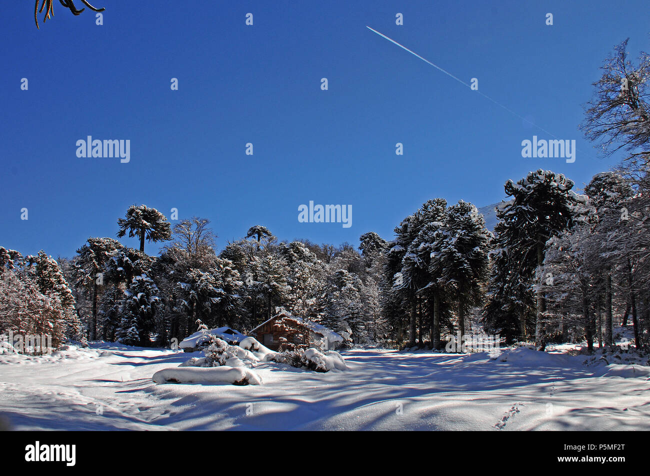 Alto biobio hi-res stock photography and images - Alamy