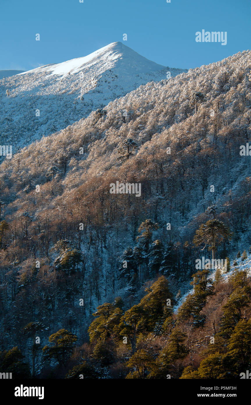 Alto biobio hi-res stock photography and images - Alamy