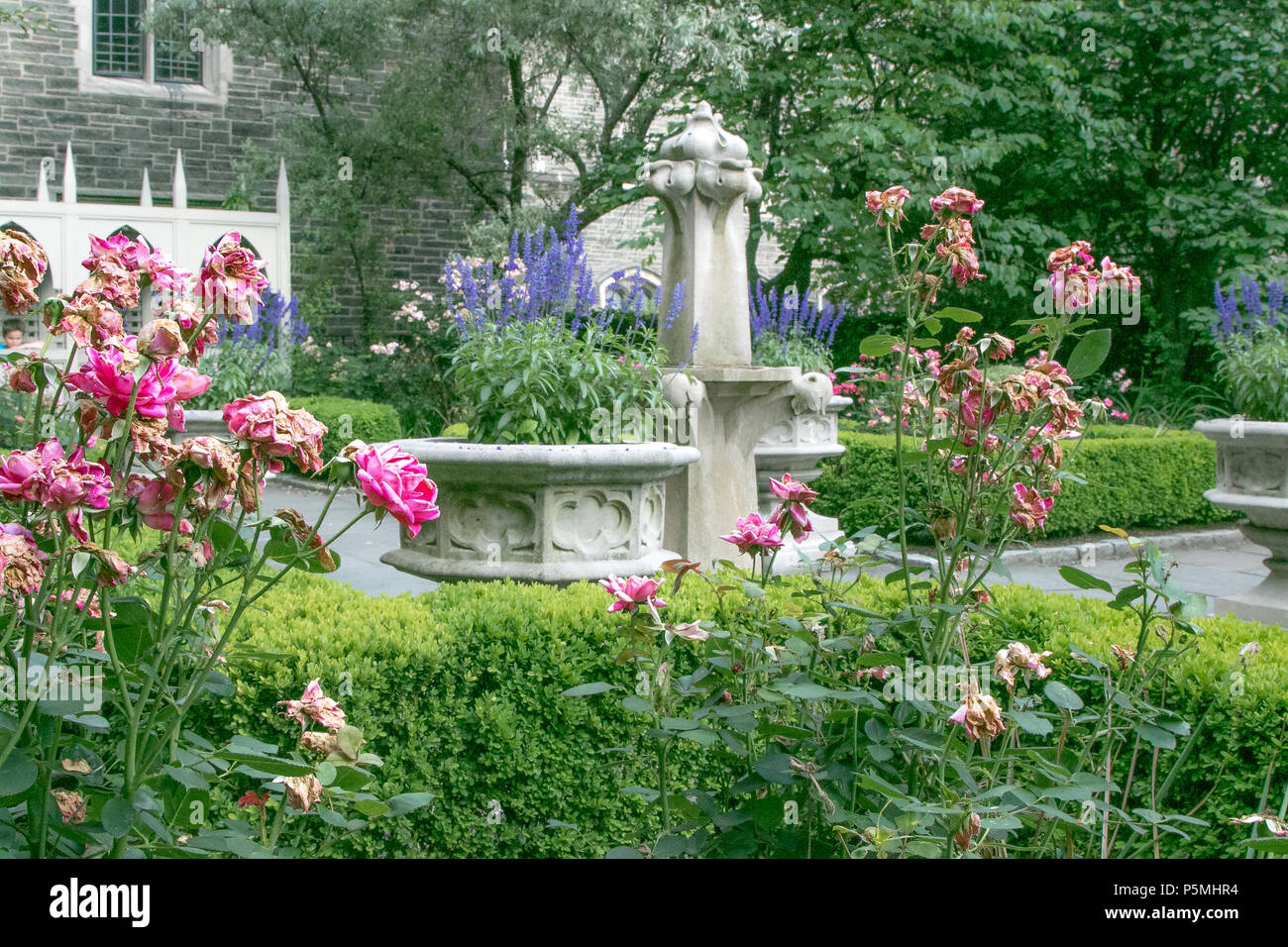 View of the Biblical Garden of the Cathedral Church of Saint John the Divine. Stock Photo