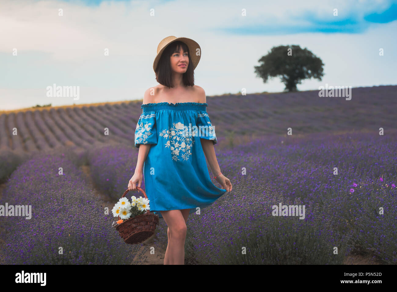 Young beautiful attractive woman in the blooming lavender fields near Plovdiv in Bulgaria. Blooming lavender flowers in Bulgaria. Stock Photo