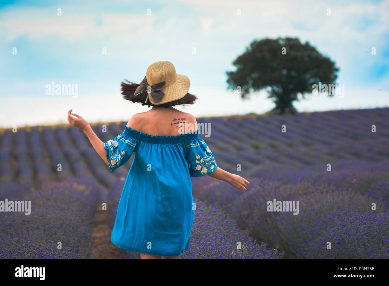 Young beautiful attractive woman in the blooming lavender fields near Plovdiv in Bulgaria. Blooming lavender flowers in Bulgaria. Stock Photo