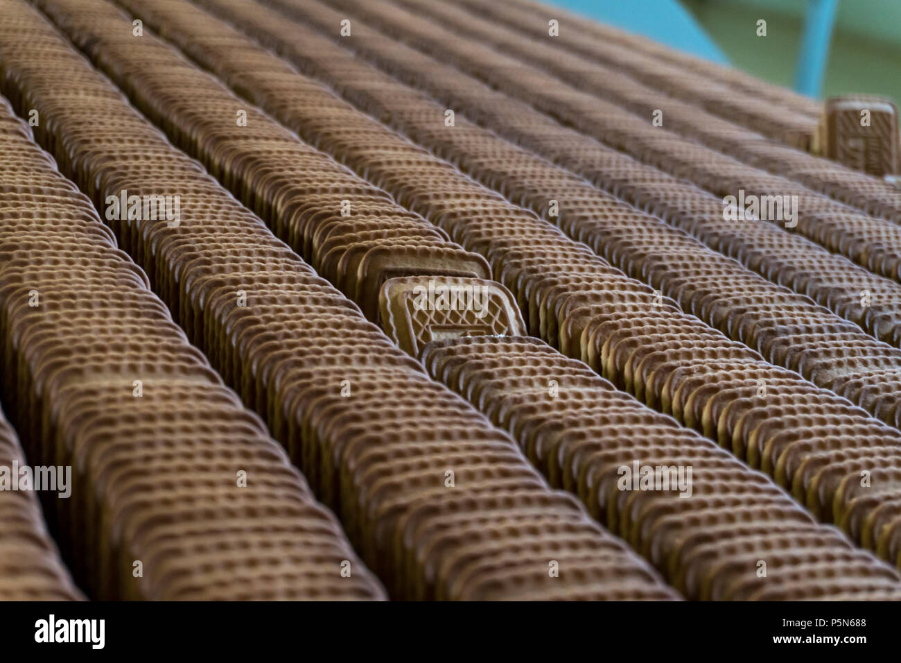 Automated biscuit cookies production processing plant conveyor. Stock Photo